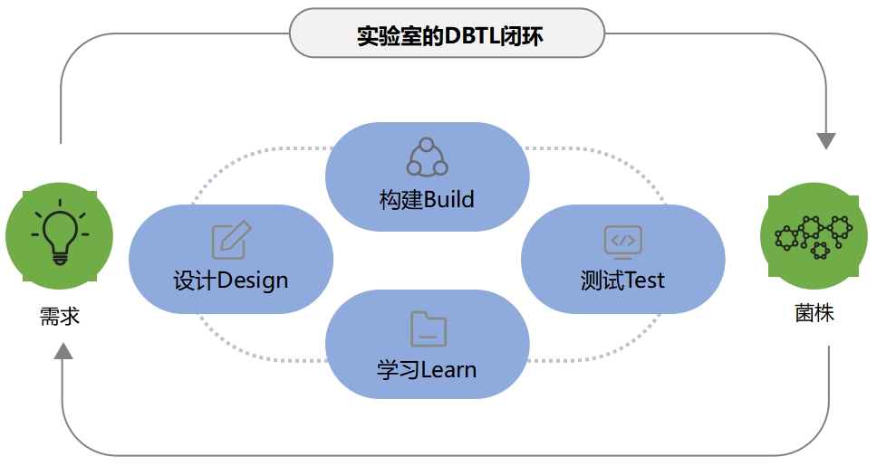 DBTL闭环.png